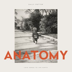 Anatomy