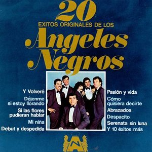 Imagen de '20 Exitos Originales'