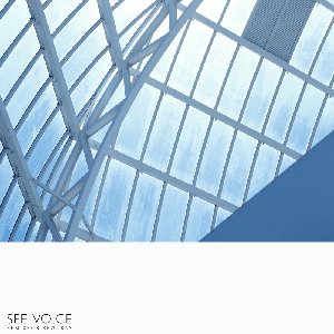 See-Voice Remixes & Reworks