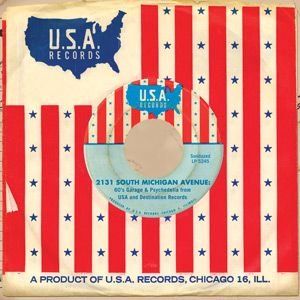 2131 South Michigan Avenue: 60's Garage & Psychedelia From U.S.A. And Destination Records