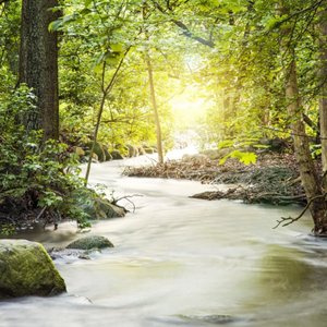 Small Water Streams