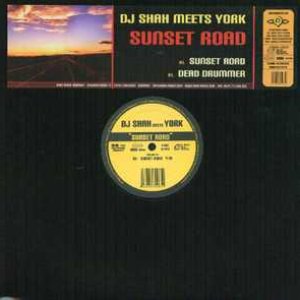 DJ Shah meets York のアバター