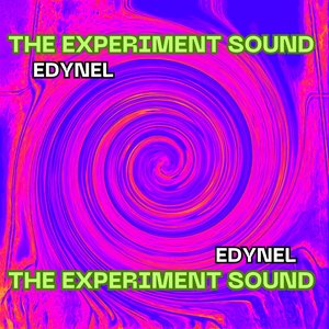 Image for 'THE EXPERIMENT SOUND'