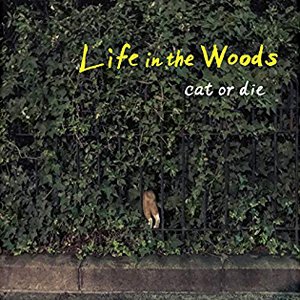 Life in the Woods