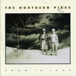 The Northern Pikes - Ain