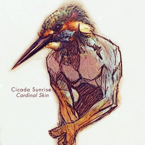 Cardinal Skin