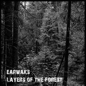 Layers of the forest EP