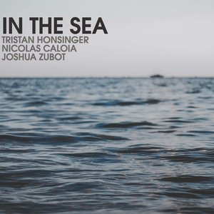 In The Sea