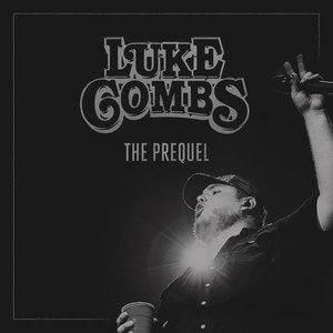 Luke Combs - Days Like These Lyrics - Zortam Music