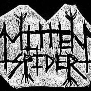 Avatar for Mitten Spider