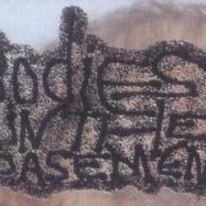 Bodies in the Basement 的头像