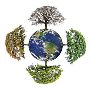 Attention Earth 的头像