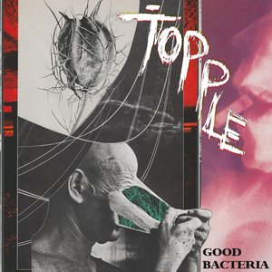 Good Bacteria