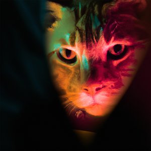Albergue De Gatos - Single