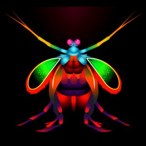 Mantis Shrimp 的头像