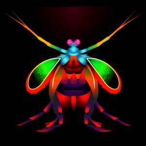 Avatar for Mantis Shrimp