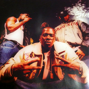 Shadez of Brooklyn photo provided by Last.fm