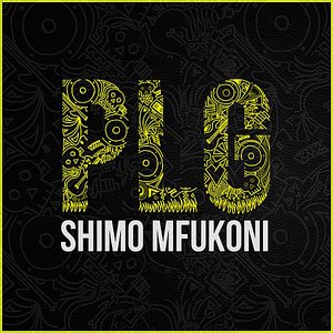 Shimo Mfukoni