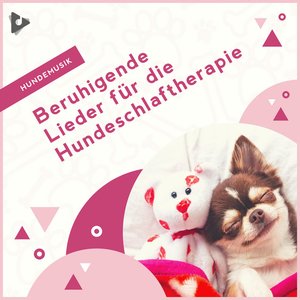 Beruhigende Lieder für die Hundeschlaftherapie