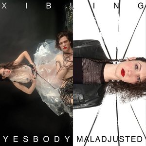 Yesbody / Maladjusted Split LP