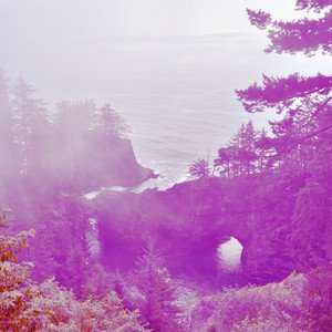 Lofi Folkie VIII
