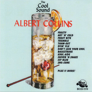 The Cool Sound of Albert Collins cover