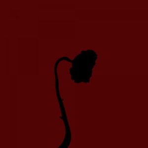 Iglap - Single