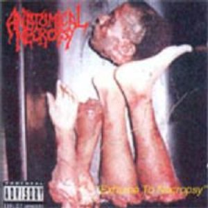 ANATOMICAL NECROPSY 的头像