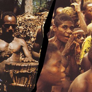 Baka Pygmies 的头像