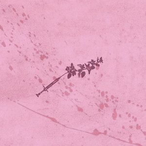 Rx.pinknoise 的头像
