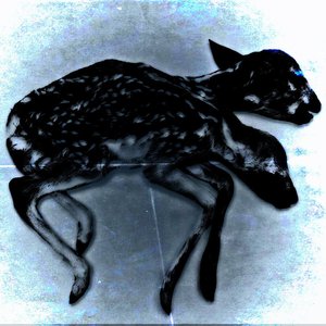 a mourning in heaven 的头像