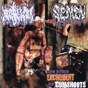 Living Between Excrement And Cumshoots