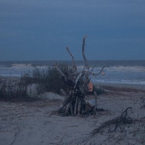easy / semiautomatic (demo)