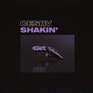 Shakin' - Single