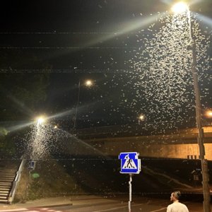 raźbity pad lichtarom