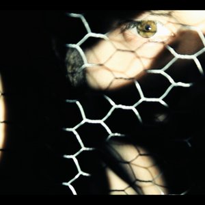 Avatar for Sense Of Searching