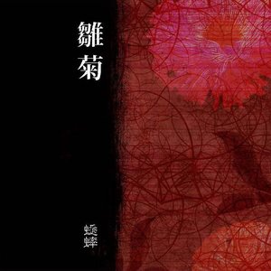 雛菊