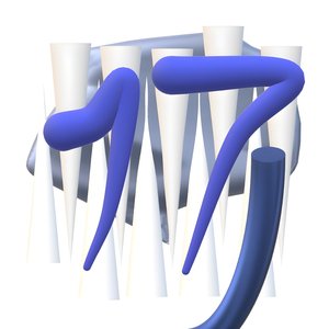 Серьёзное ЕП!!! Мои Носороги Агрессивно Доят Циферблаты, А Тараканы Ь - EP