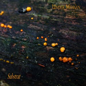Substrat