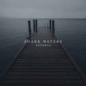 Shark Waters