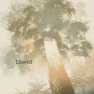 Lilsved