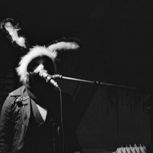 Blackrabit 的头像