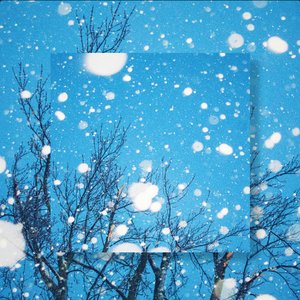 snow falls in silence