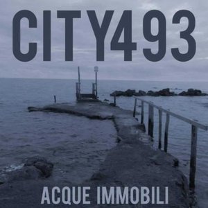 City 493 的头像