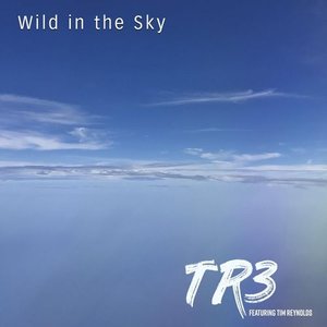 Wild in the Sky