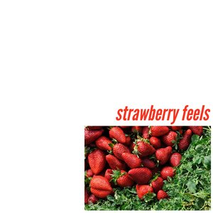 Strawberry Feels - Single