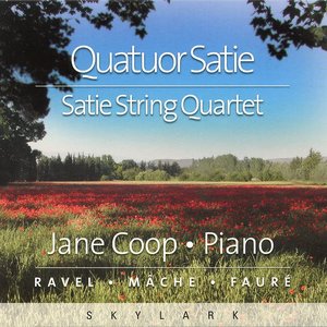 Image pour 'Quatuor Satie'