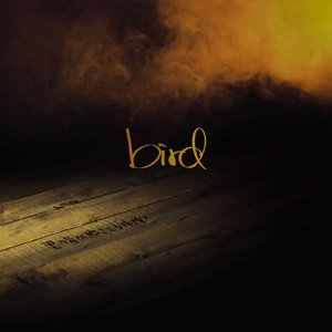 君の音が聴こえる場所へ