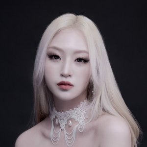 VEKOEL 的头像