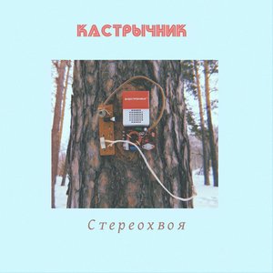 Стереохвоя
